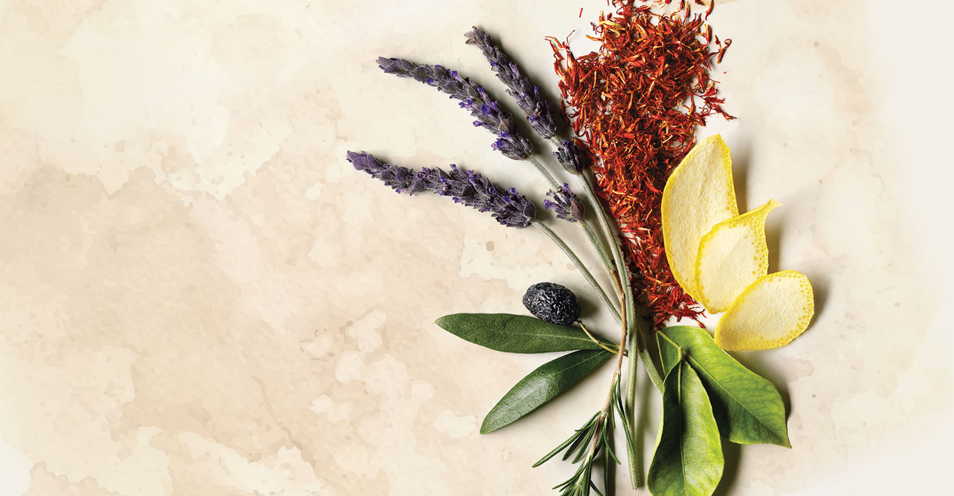 Photo of colorful herbs and leaves